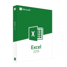 Microsoft Excel 2019 for...