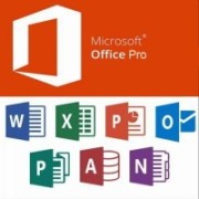 Microsoft Office Professional Plus
